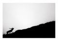 EVANESCENZE | ph. Mattia Dori ©