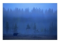 Karhu - Orso | ph. M. Vettorazzi ©