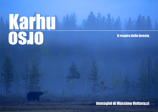 Karhu - ORSO | rassegna di Massimo Vettorazzi allo Spazio Espositivo Pretto